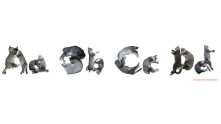 Illustration for article titled Write with Cats. Actual Cats.